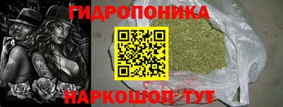 стафф Краснознаменск