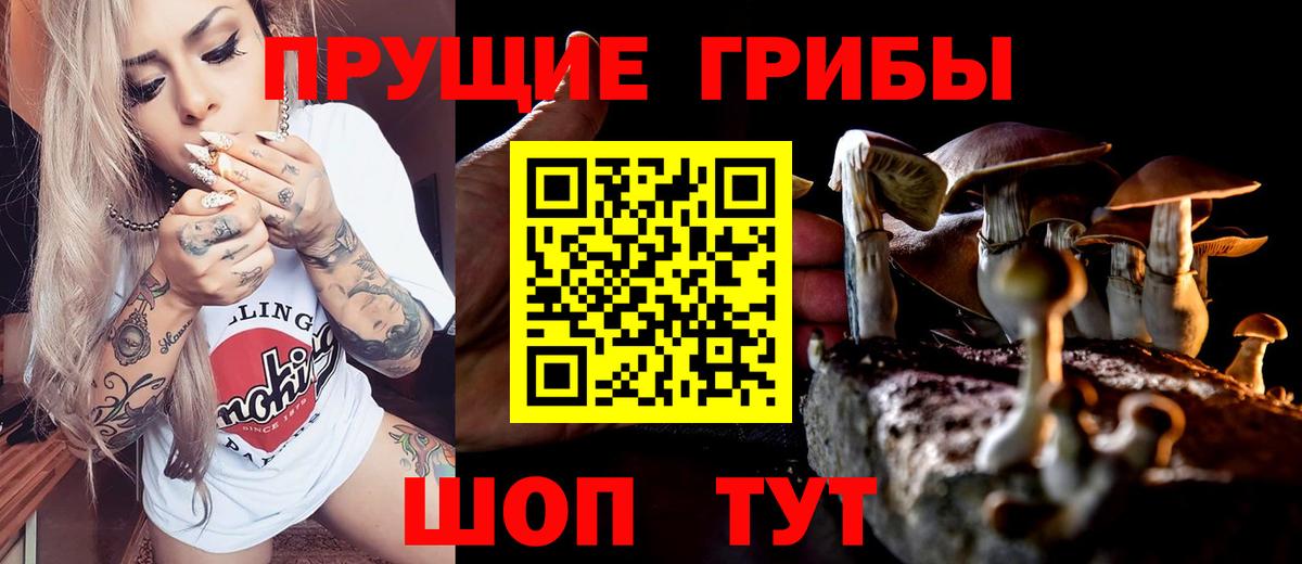 Псилоцибиновые грибы мухоморы  Вход с VPN  Химки 
